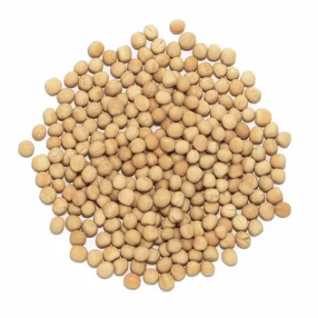 Groch żółty paszowy dla gołębi 1 kg